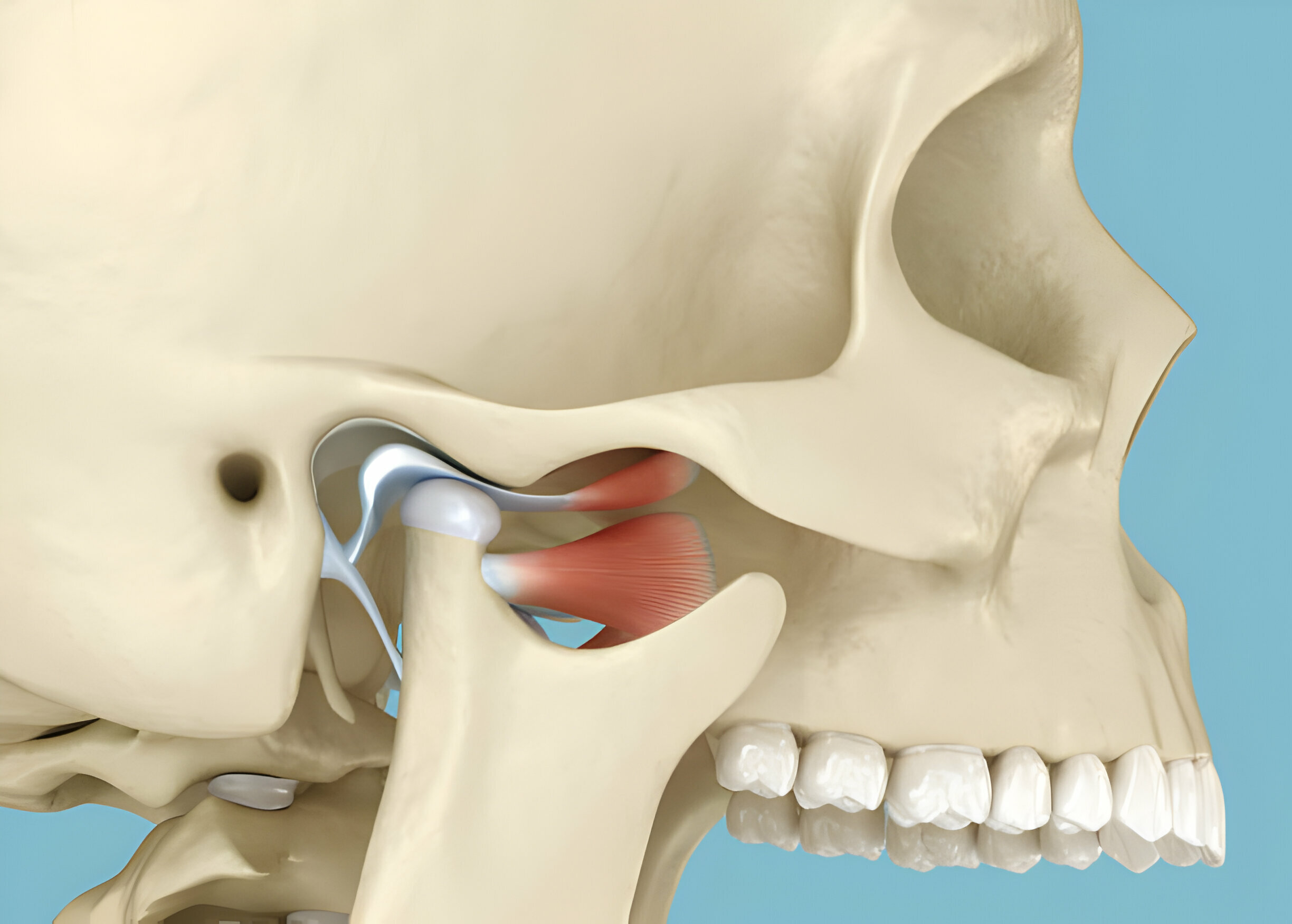 Understanding TMJ: Causes, Symptoms, and Treatment Options_2
